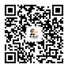 眼镜蛇 AI 实战笔记公众号二维码